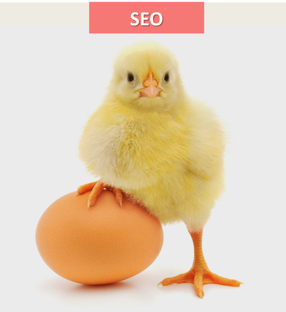 Stratégie de référencement : Êtes-vous l’œuf ou la poule ? - UniK SEO